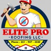 Professional Roofing