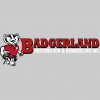 Badgerland Restoration & Remodeling