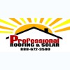 Professional Roofing