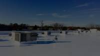 Commercial Roofing Services