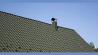 Metal Roofing